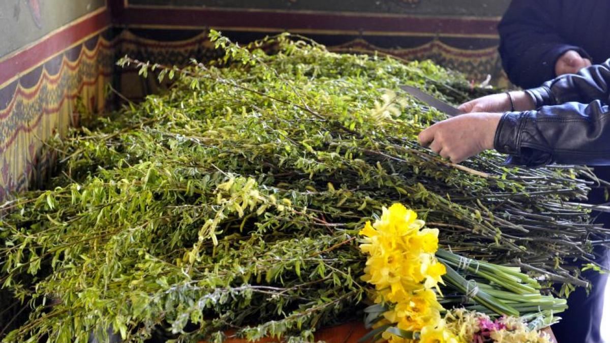 agerpres_7748736_14634300