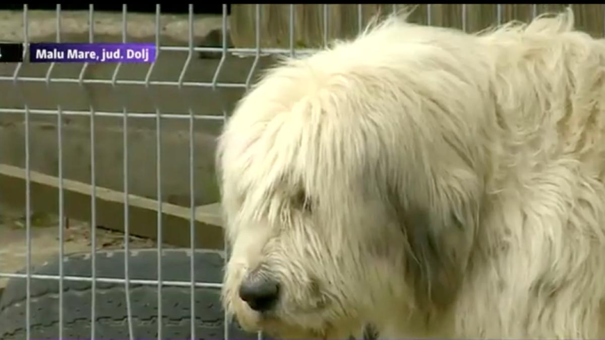 screen_shot_2016_04_29_at_11_57_05_pm_90786300