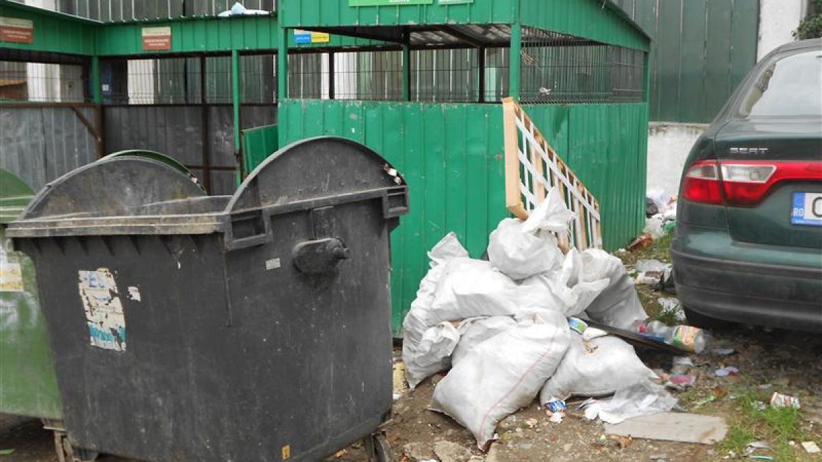 00113582_large_85611900