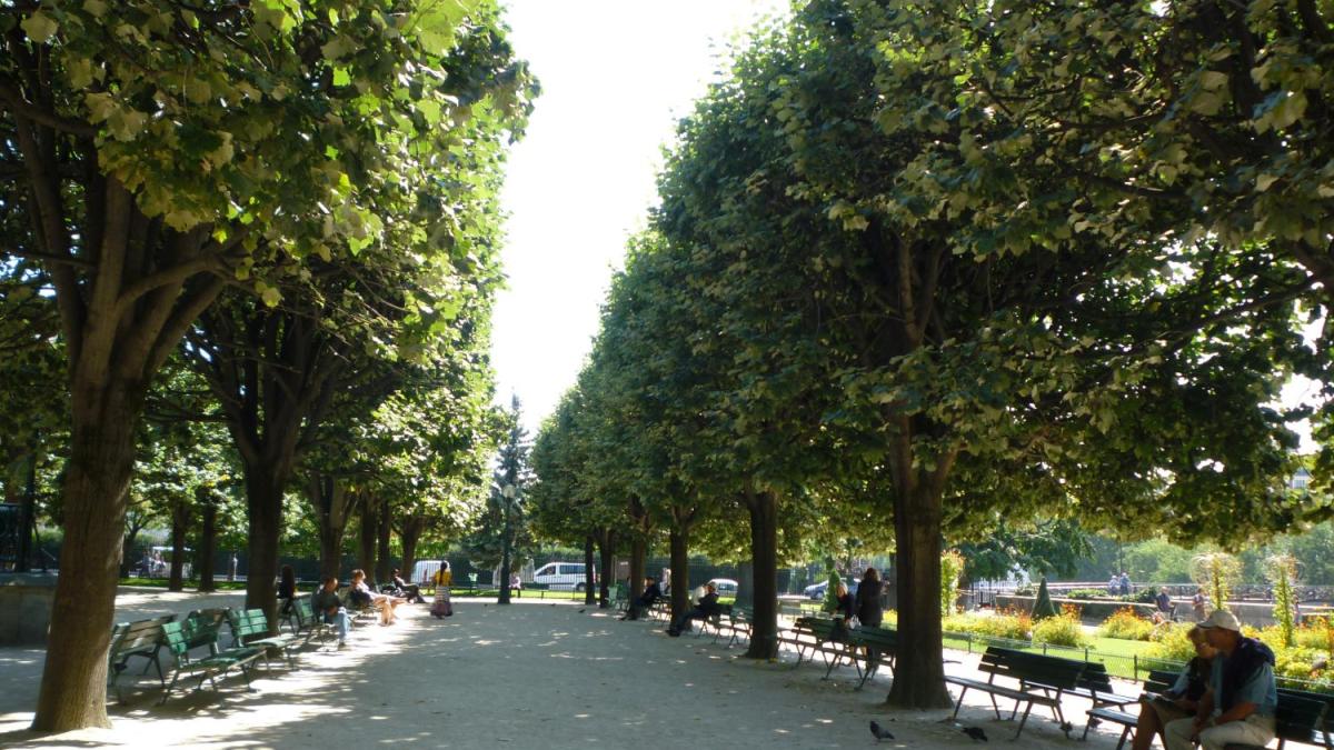 robert negoi a atac dur la primaria capitalei firma 3d romania un fel de hexi pharma pentru copaci