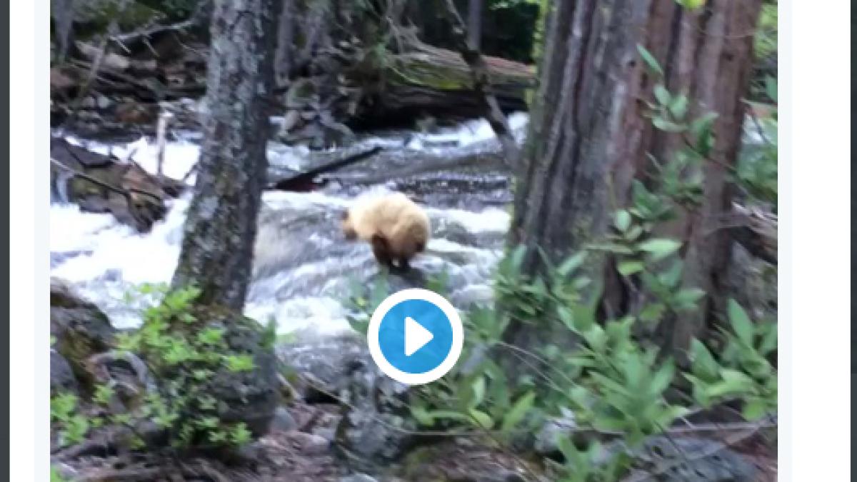 screen_shot_2016_05_16_at_19_01398500