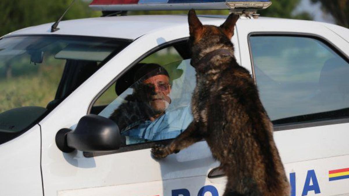 bogdan_mirica_18918400