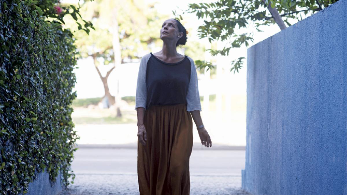 sonia_braga_86223800