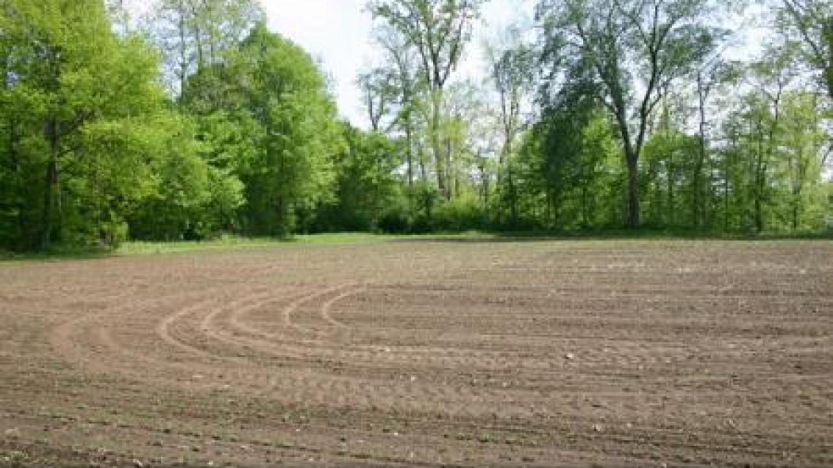 imageresize_95768200