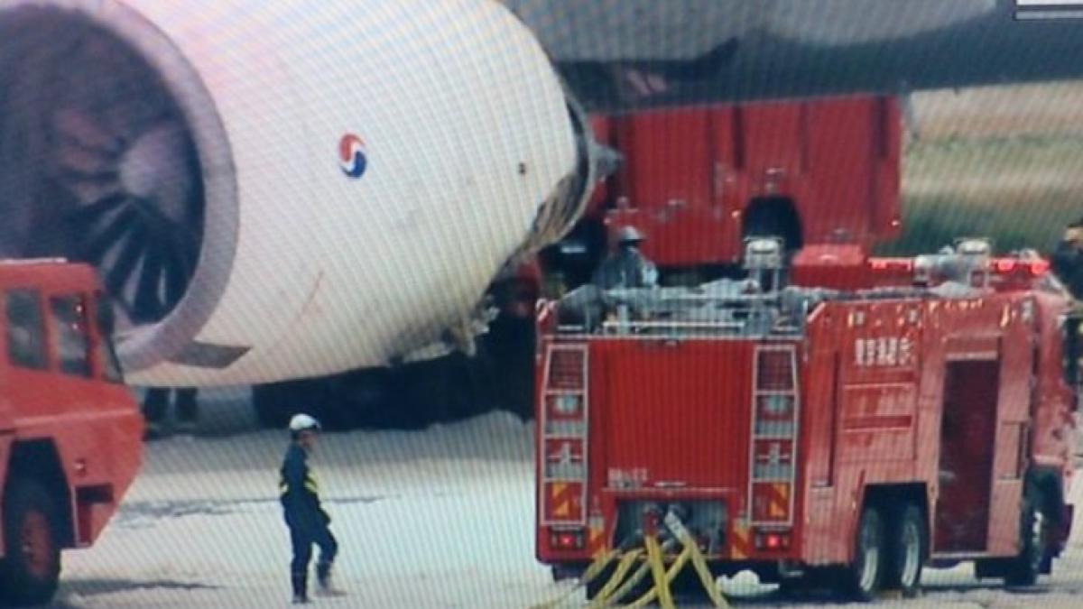 avvion_coreean_poza_buna_19827000_04793300