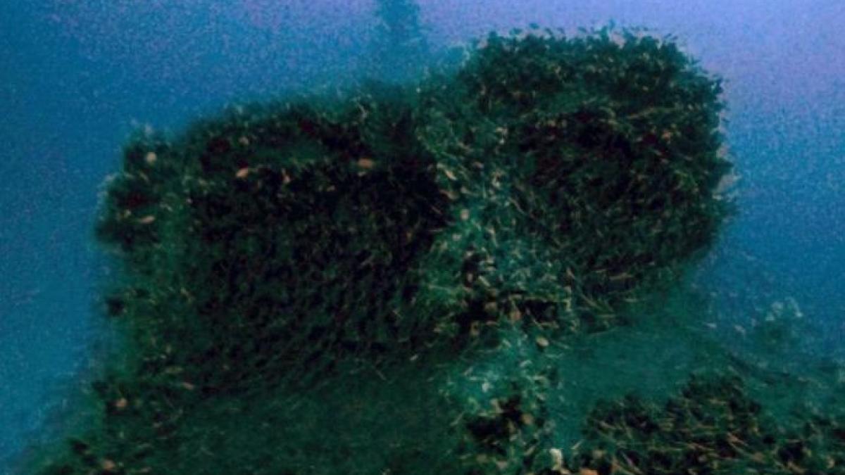 99088878_sardinia_foreign_large_trans__ncqjvxbh51qaxcmjhm58lrjqx_tkwcfnoiccd5qckas_84155700