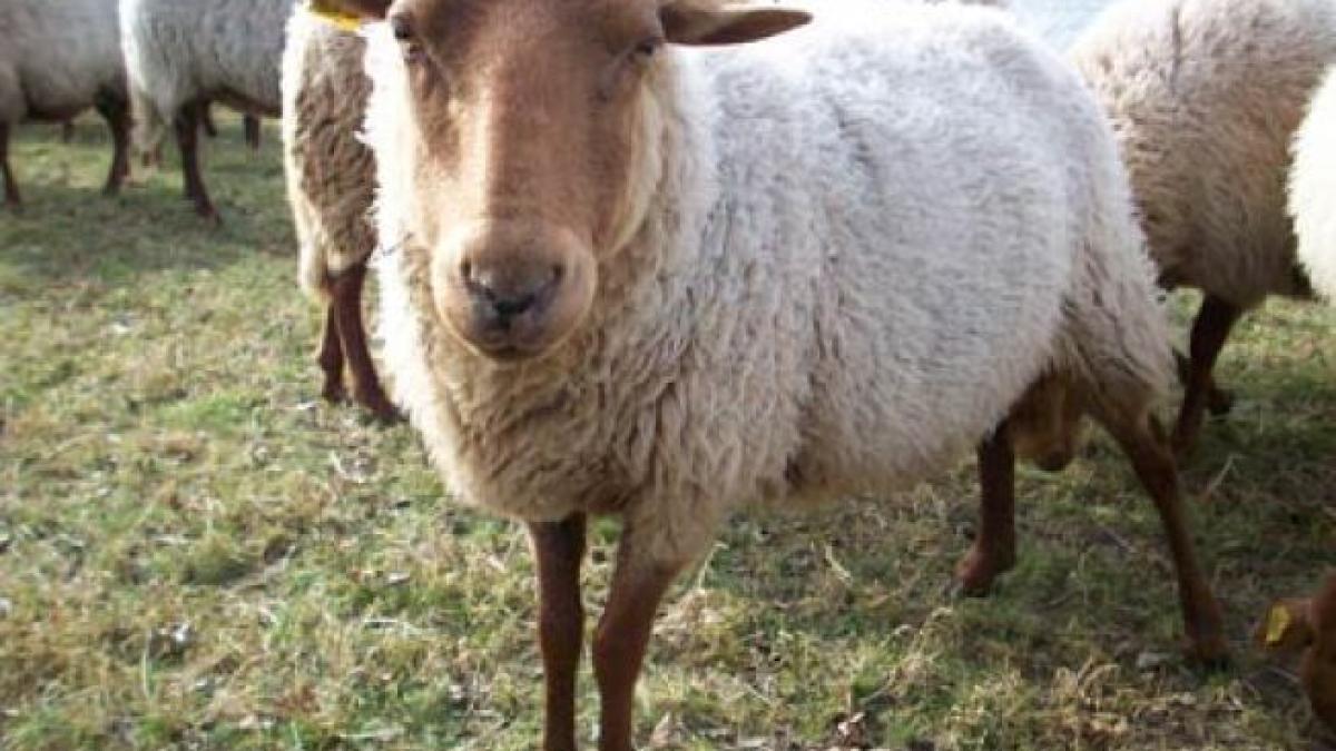 652x450_073352_oi_22848600