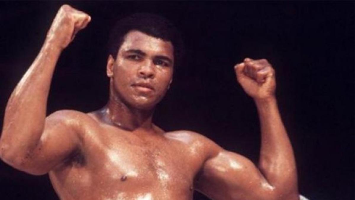 ali_rotator_91366600_36596700