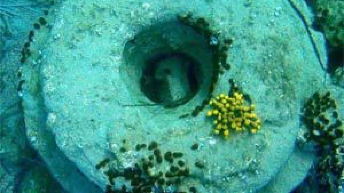 ancientgreekruin3_31615800