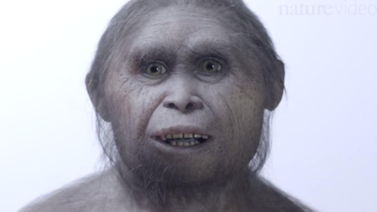 descoperire_1_48397400