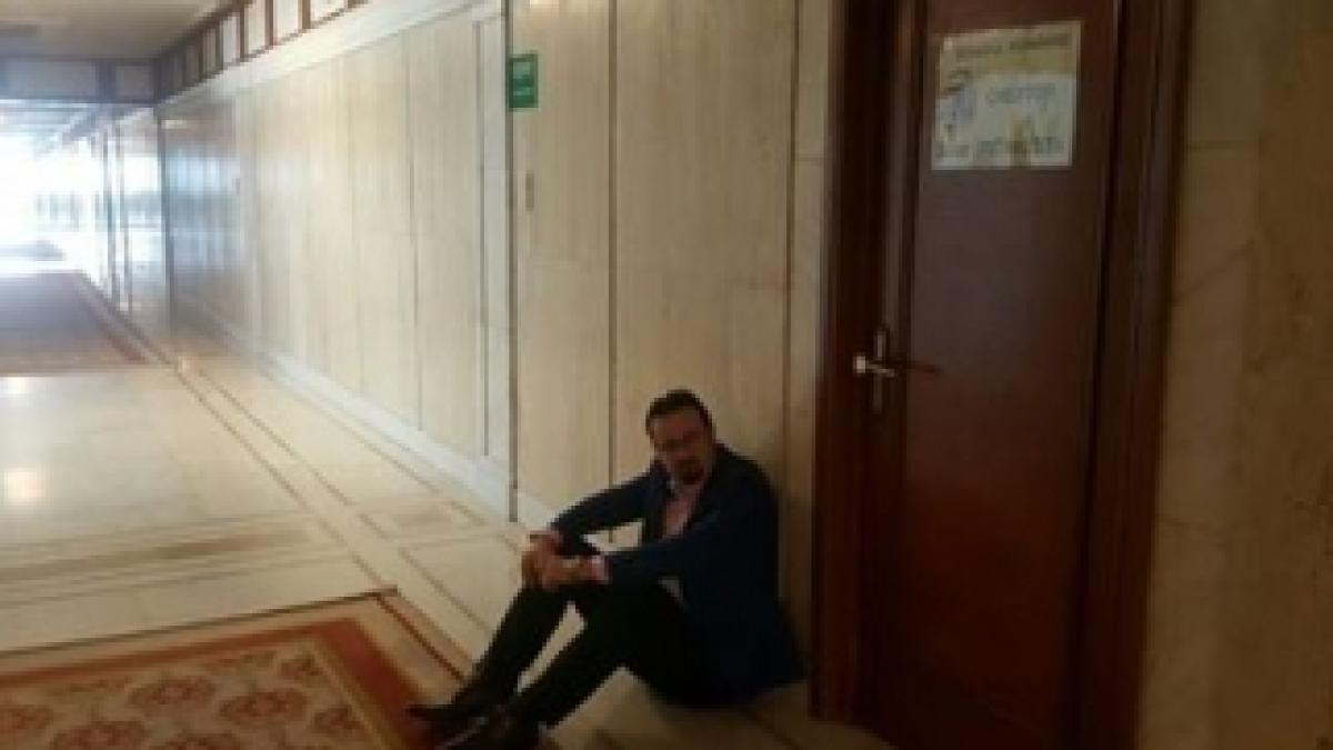 bodea_senat_50519000_42815500