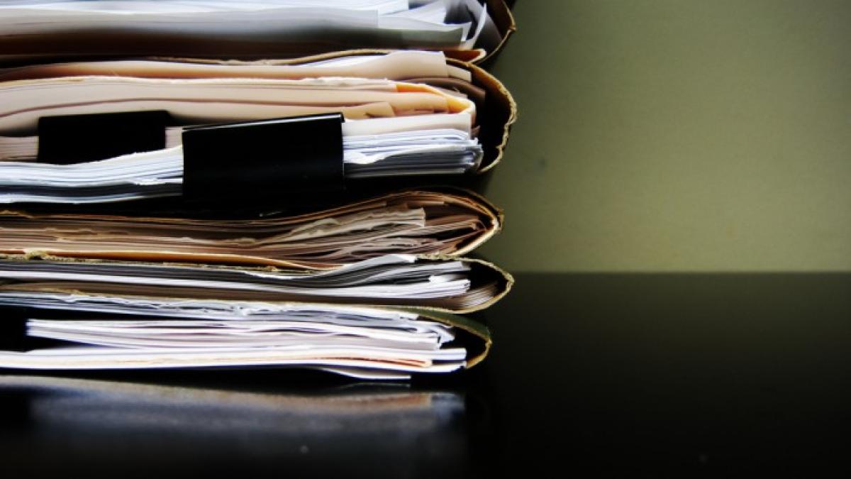 copii_legalizate_700x525_05501300