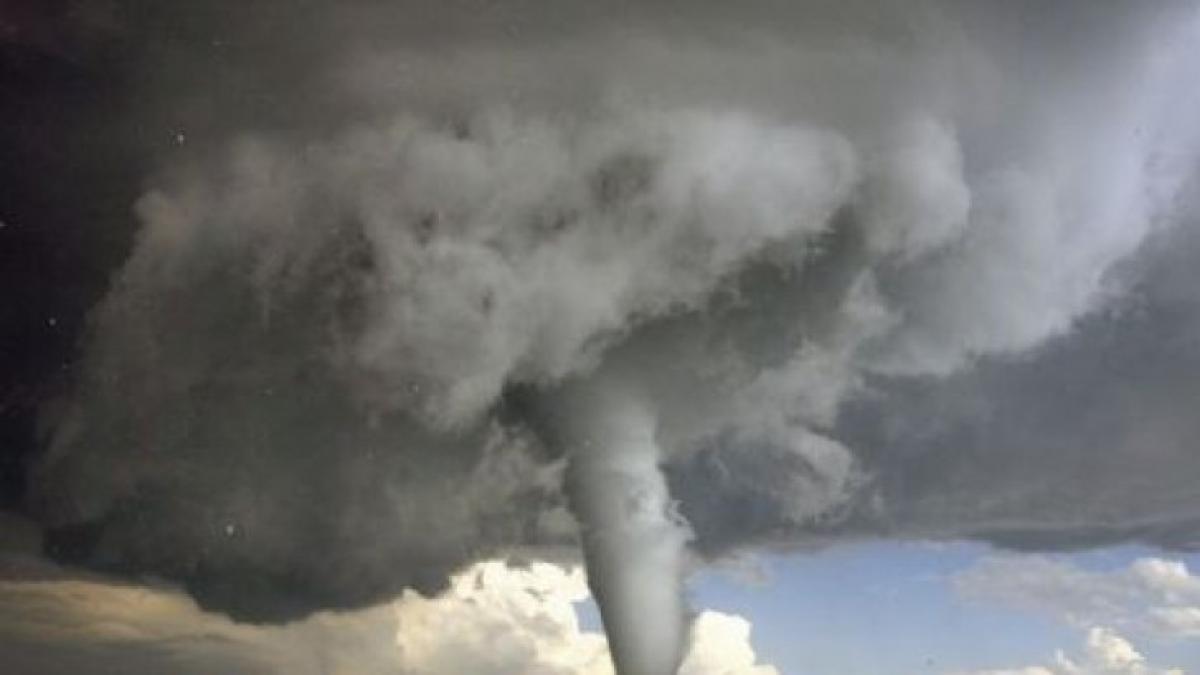 gethumb_details_php_28030500