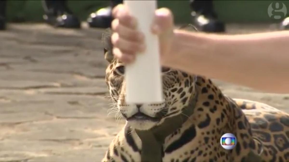 screen_shot_2016_06_22_at_10_42_33_92215100