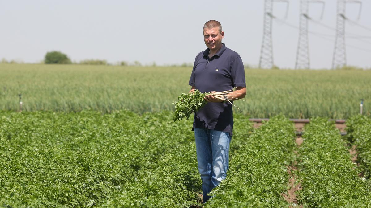 domnul_florin_stoian_2_33566400