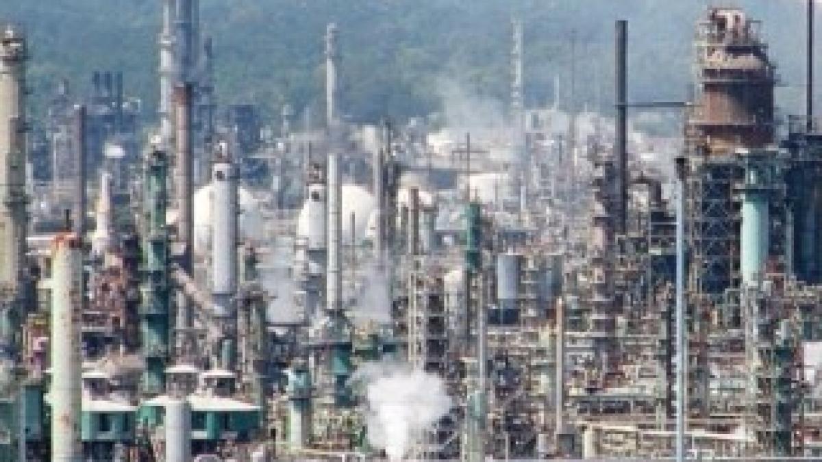 rafo_66401300_65883600