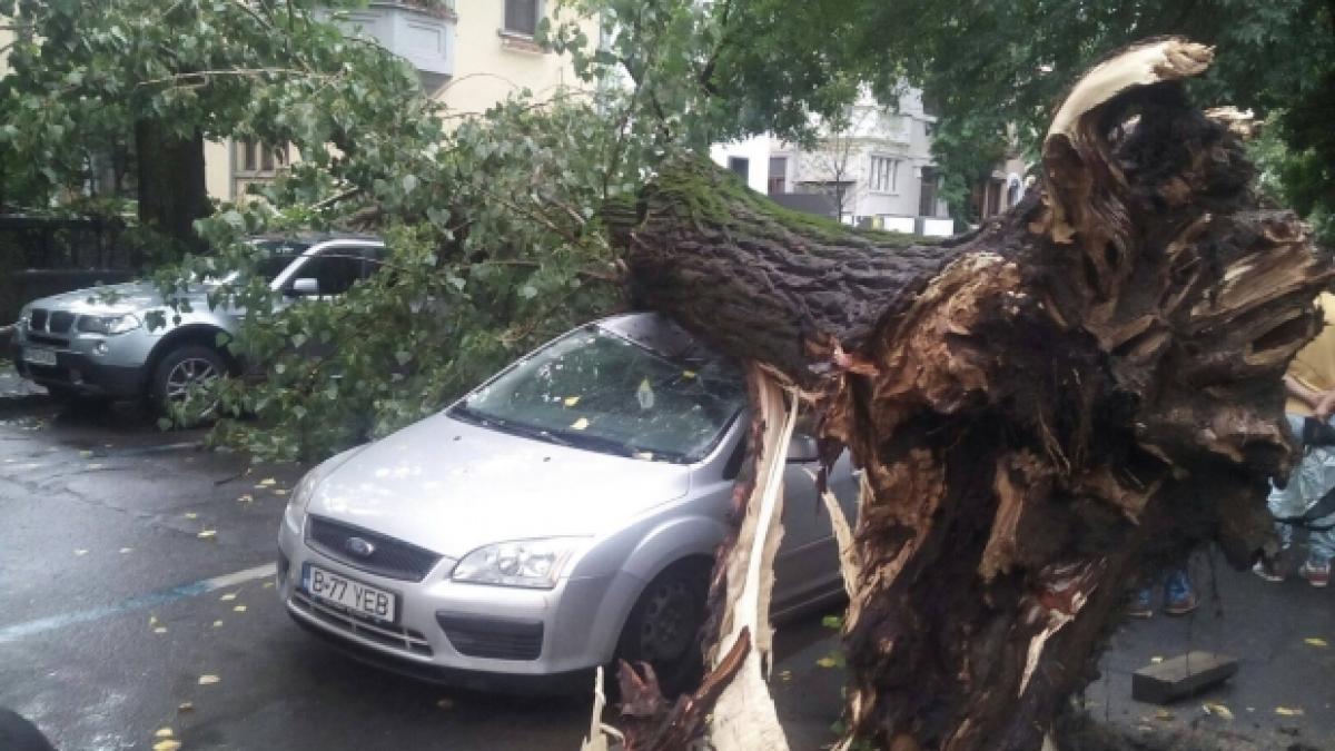 13524017_1170294889656470_1420109740_o_36860200_18990500