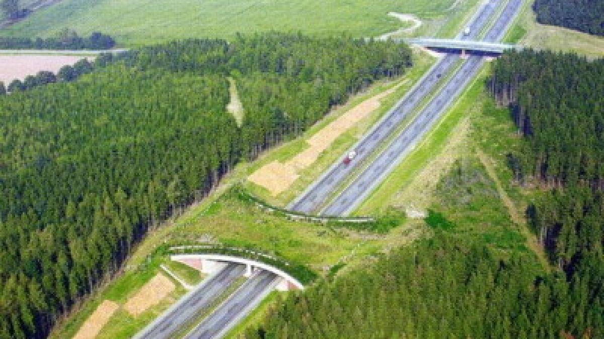 green_bridge_grevesmuprc-ccprc-88hlen_400x271_65108800