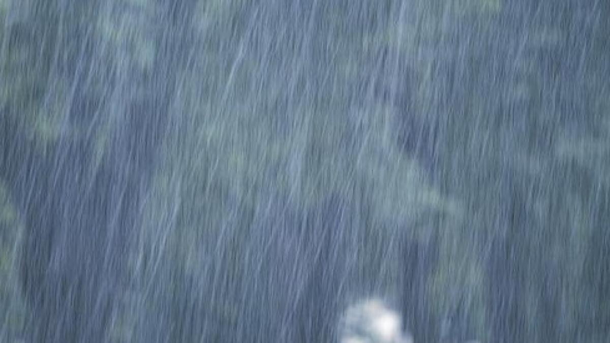 ploaie_torentiala_46_think_article_main_image_95344900