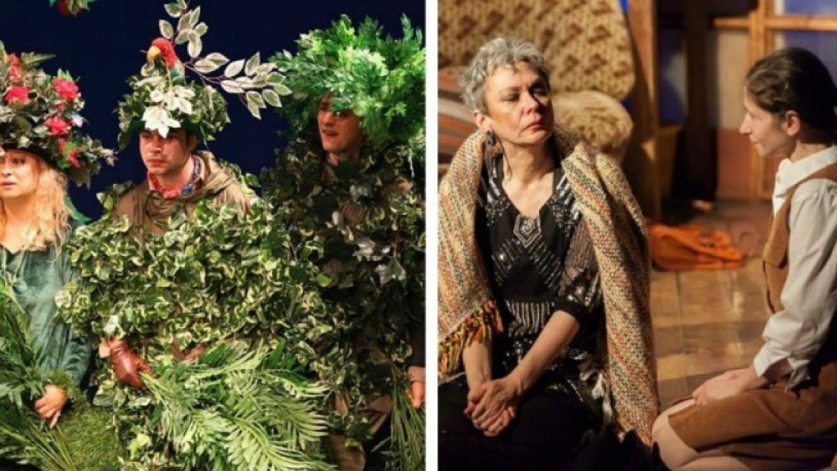 a_douasprezecea_noapte_metropolis_frunza_42778300