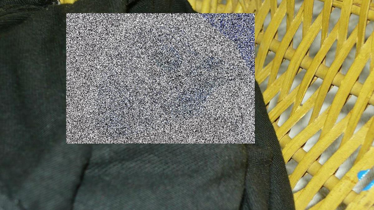 porumbel111_44041600