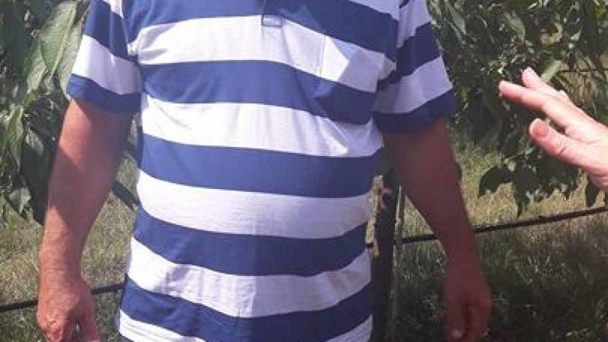 marin_hagiu_adunatii_copaceni_81715900