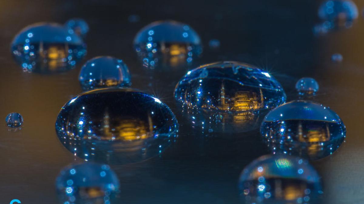 bored_panda_52340300