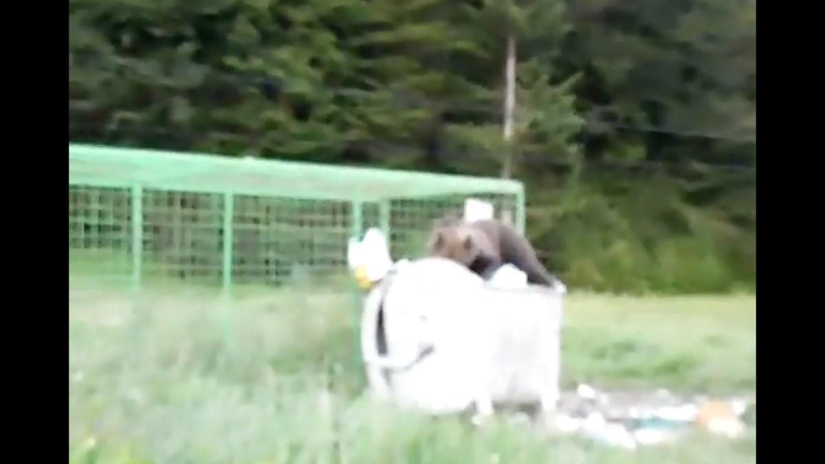 screen_shot_2016_07_09_at_08_24_15_41342200