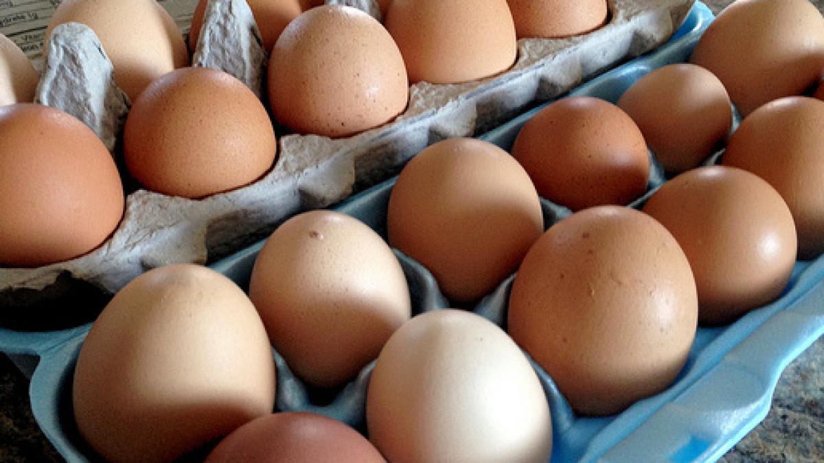 oua_magazin_08360500