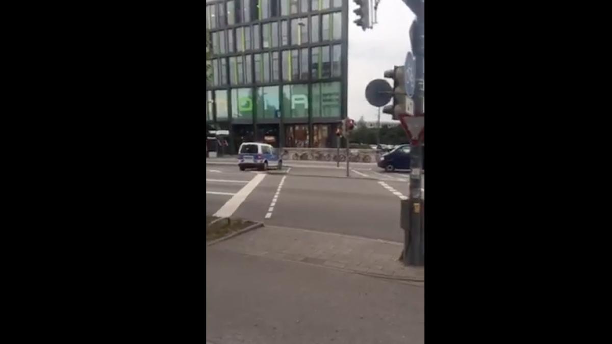 impu caturi intr un centru comercial in munchen