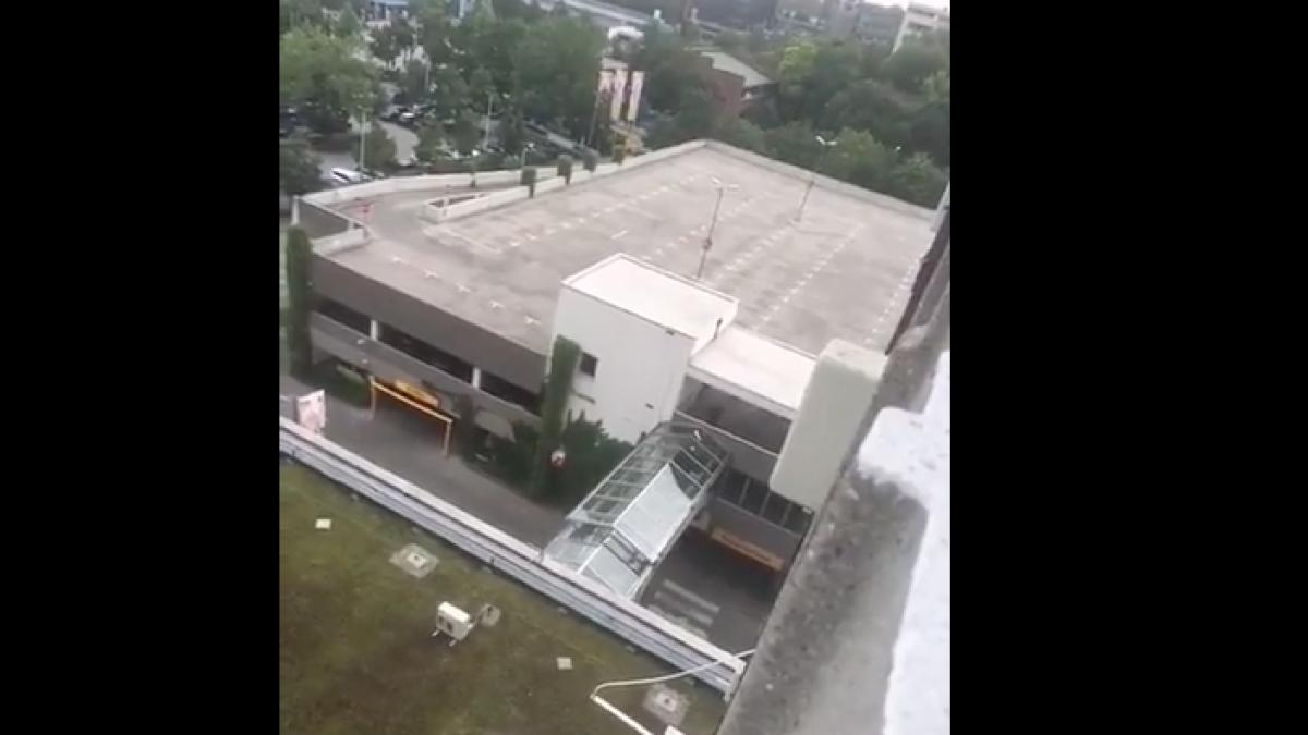 impu caturi munchen atacator sunt german video