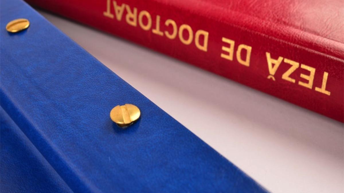 plagiat_doctorate_08818800