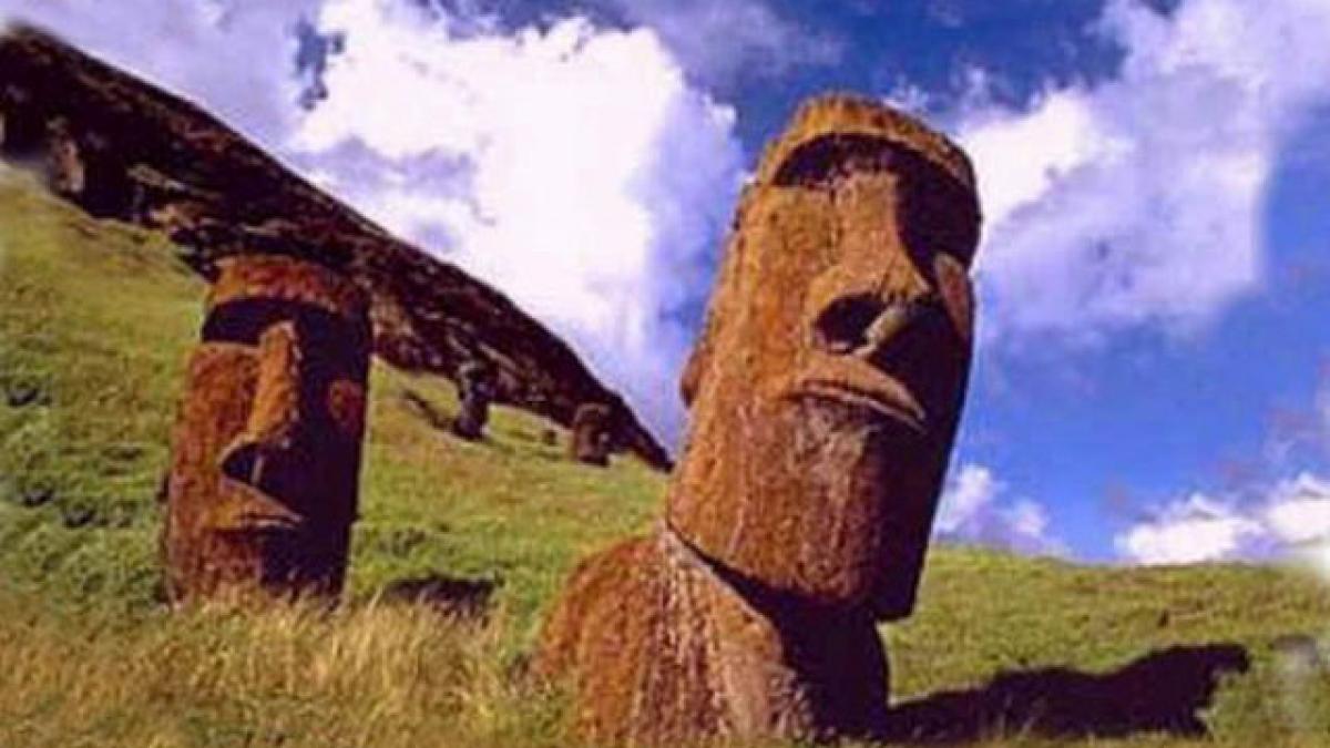 insula_pastelui_24032400