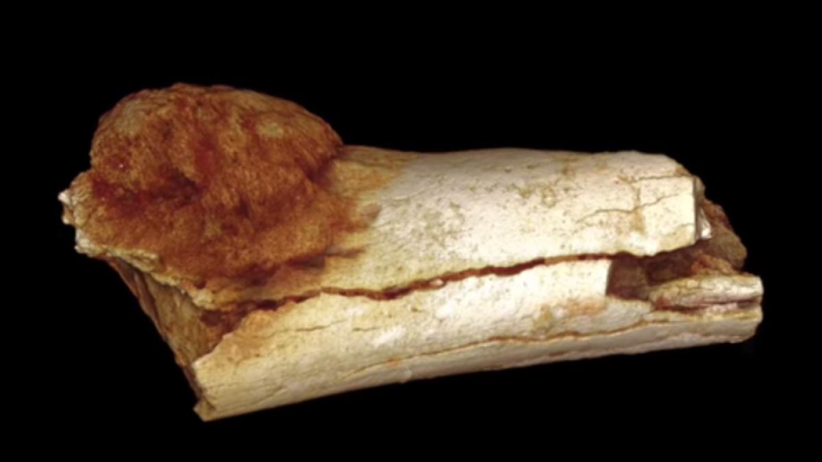 descoperire_socanta_99758700