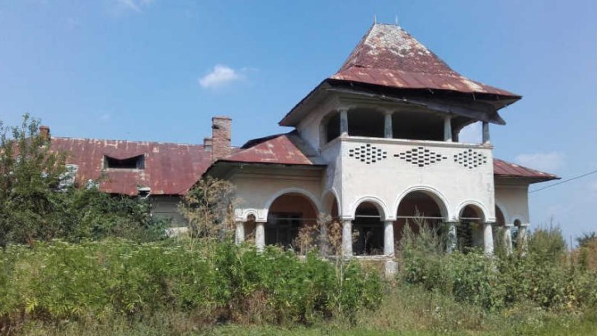 conac_bratieni_21162500