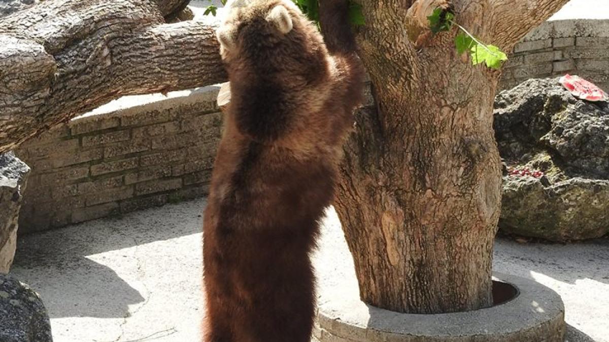 13659074_10157084853665697_8471980040983030179_n_52391400