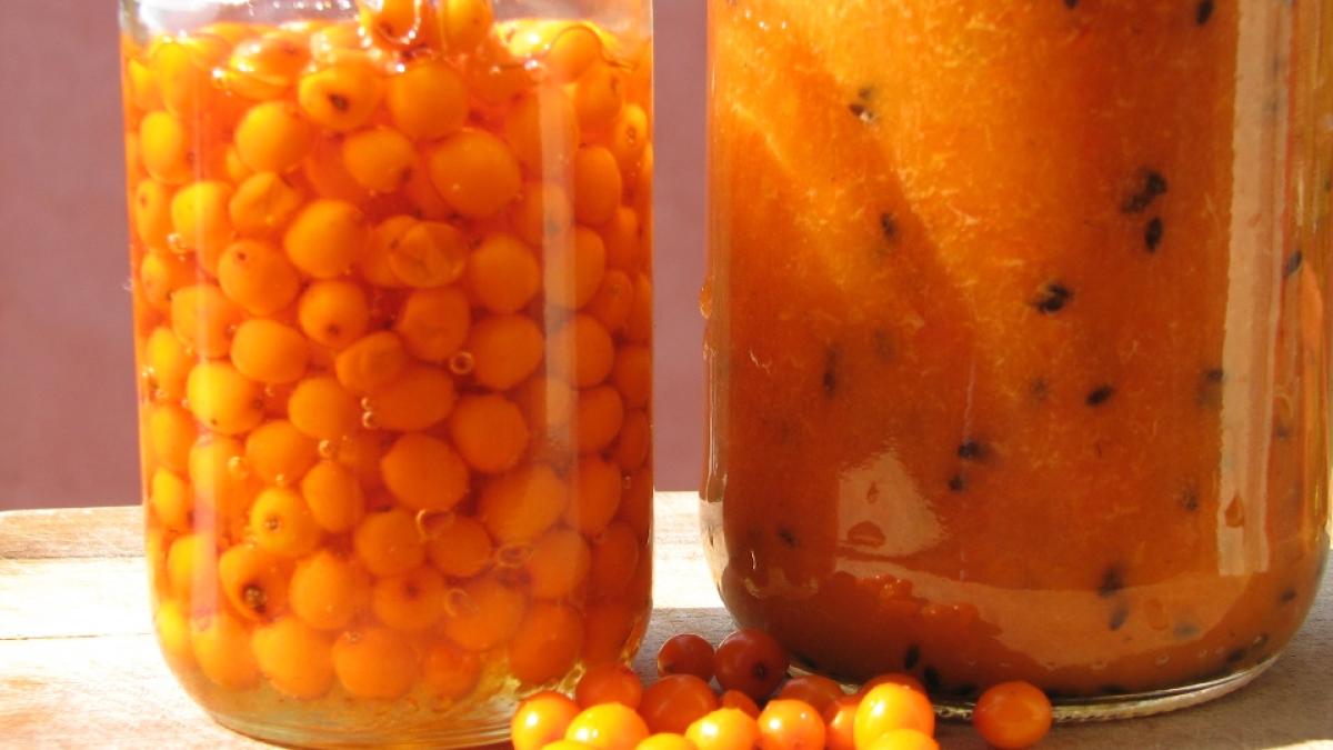 catina_miere_51813200