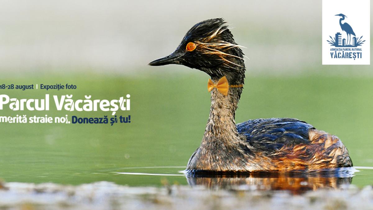 expo_vacaresti_landscape_03062700