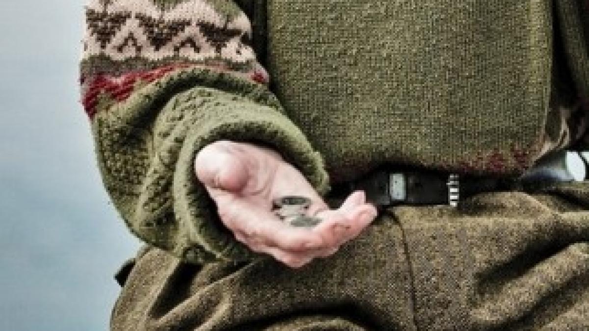 685_cersetori_78458600_95685600