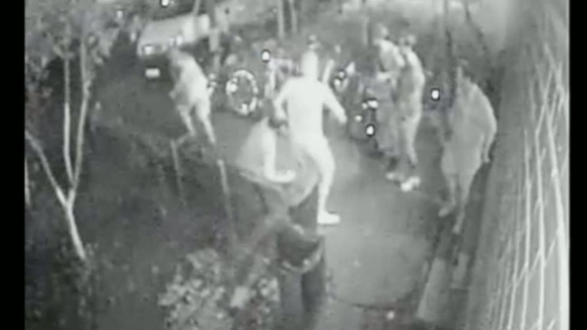 camin_73838300_07901200