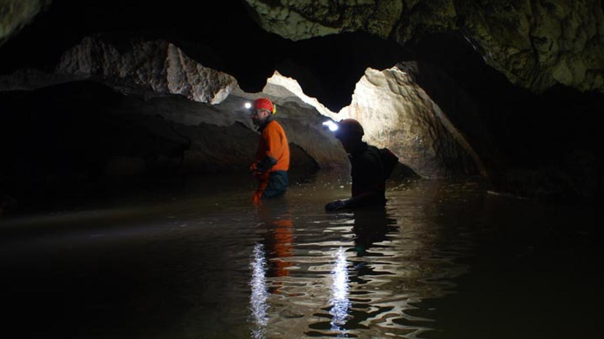 huda_lui_papara_interior_18521500