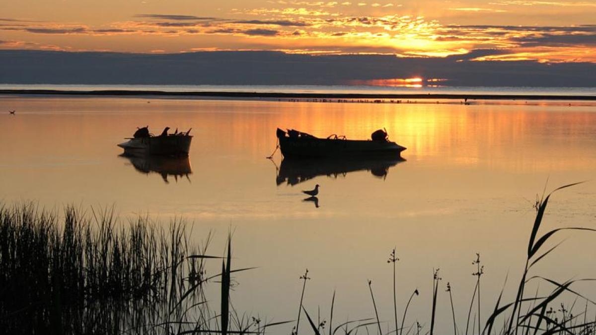 large_foto_articol_15597_06857600