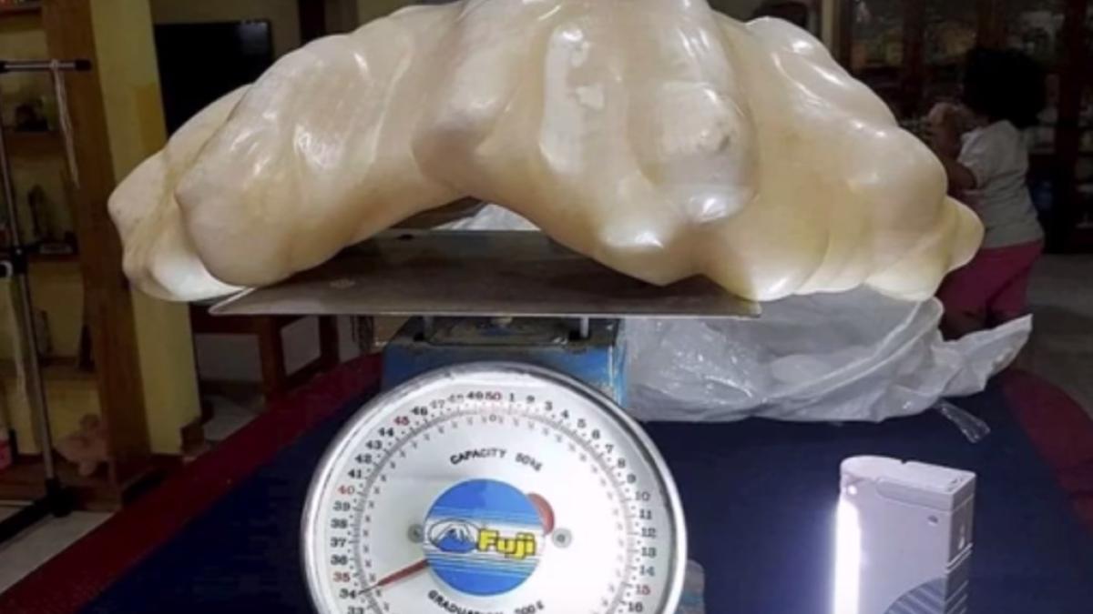 cea mai mare perla din lume expusa la 10 ani dupa descoperirea ei