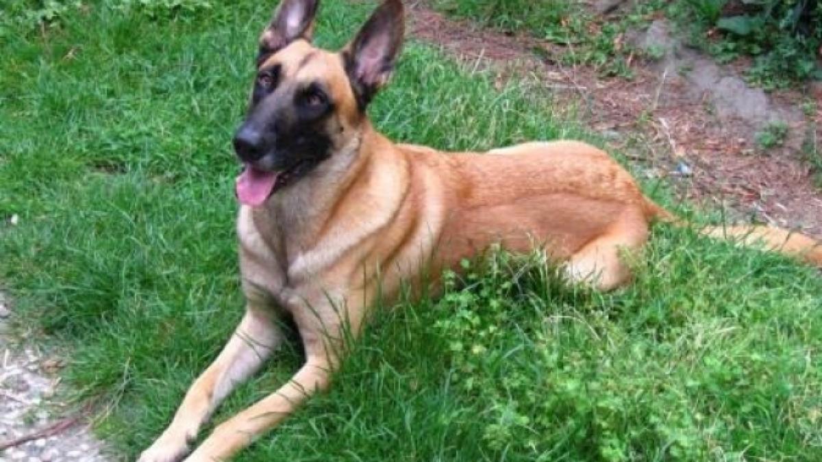 tey_09667600_33017500