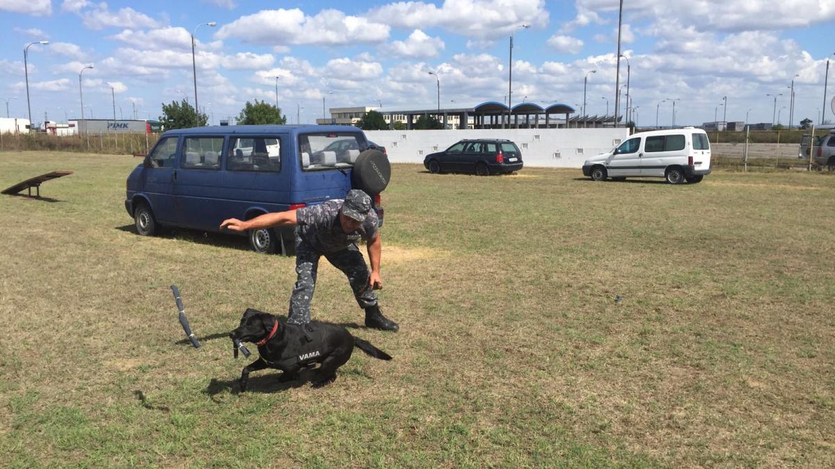 img_20160826_wa0004_92685500