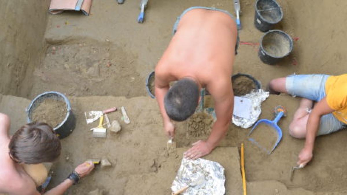 dsc_3402_620x264_00202000