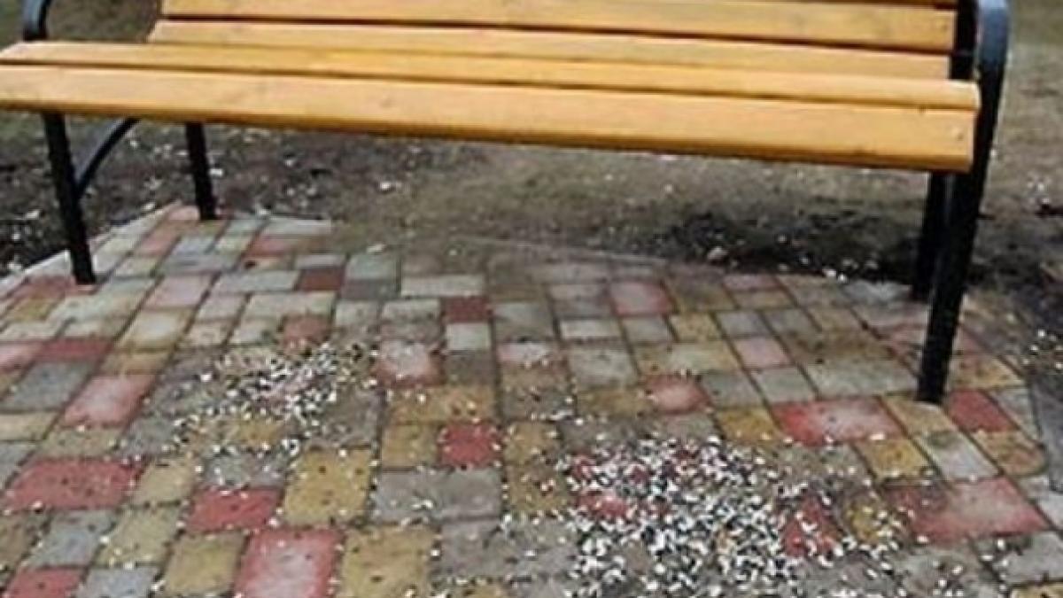 s604x0_652x450_115161_amenzi_usturatoare_pentru_cei_care_sparg_seminte_in_parc_45111200