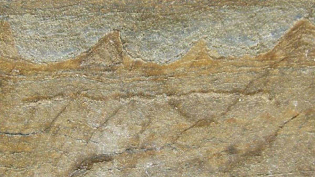 cea_mai_veche_fosila_de_pe_terra_24538900