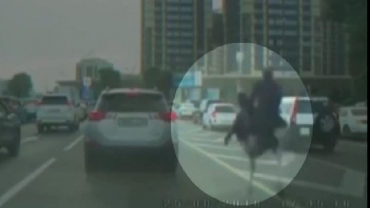 strut_53920300_07463000