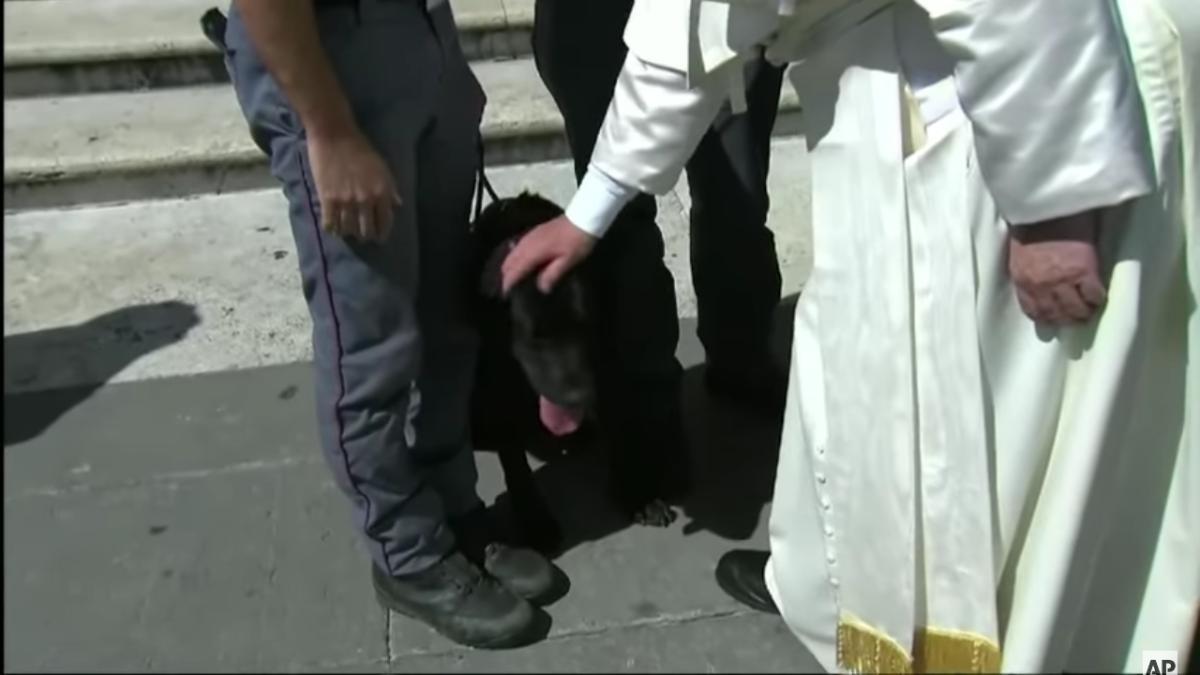 papa_francisc_canonizare_98700400